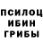 Псилоцибиновые грибы мицелий MIRODIL YUNUSOV
