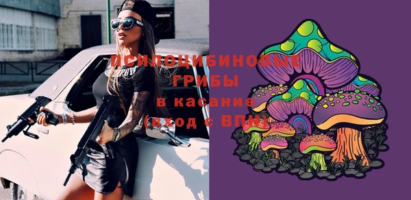 бутират Алексеевка