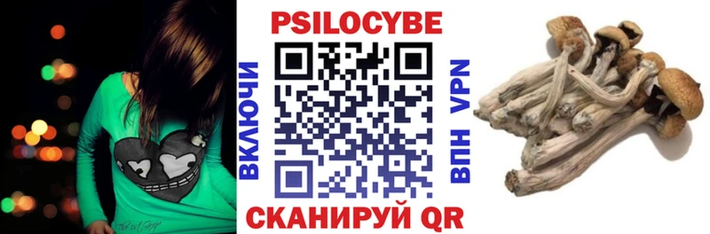 где можно купить   Каменногорск  blacksprut tor  Псилоцибиновые грибы MAGIC MUSHROOMS 